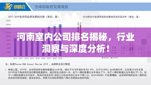 河南室内公司排名揭秘，行业洞察与深度分析！