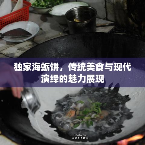 独家海蛎饼，传统美食与现代演绎的魅力展现