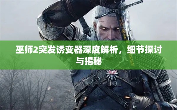 巫师2突发诱变器深度解析，细节探讨与揭秘