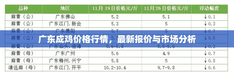 广东成鸡价格行情，最新报价与市场分析