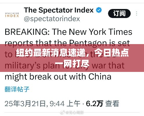 纽约最新消息速递，今日热点一网打尽