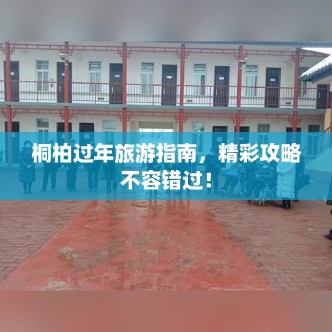 桐柏过年旅游指南，精彩攻略不容错过！
