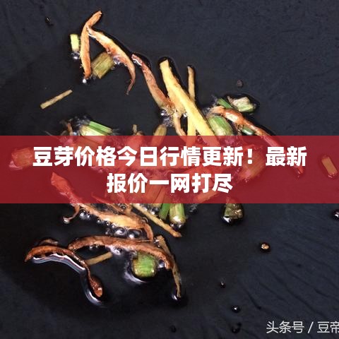 豆芽价格今日行情更新！最新报价一网打尽