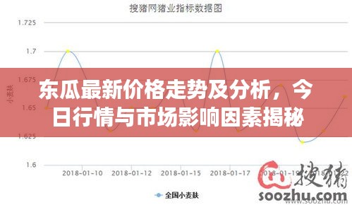 东瓜最新价格走势及分析，今日行情与市场影响因素揭秘