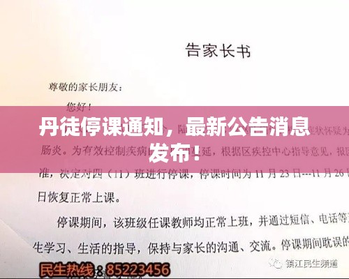 丹徒停课通知，最新公告消息发布！