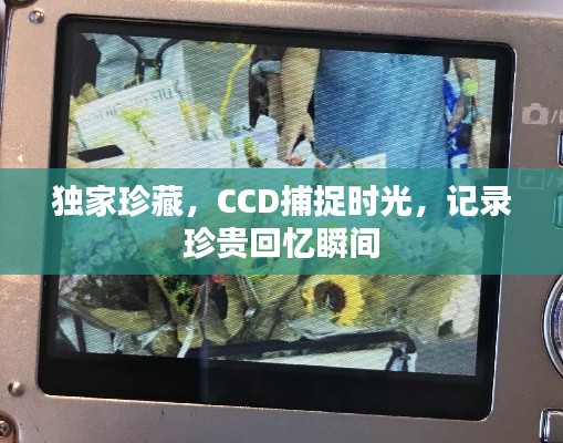独家珍藏，CCD捕捉时光，记录珍贵回忆瞬间
