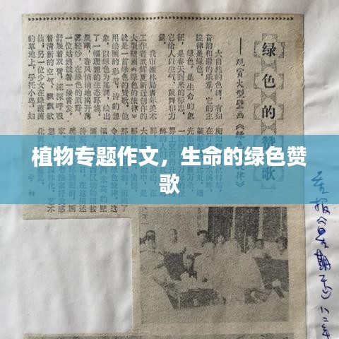 植物专题作文，生命的绿色赞歌