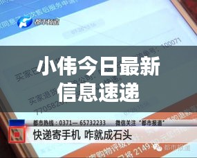 小伟今日最新信息速递