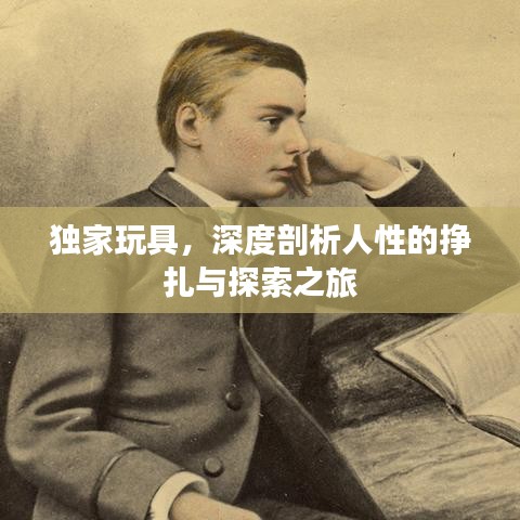 独家玩具，深度剖析人性的挣扎与探索之旅