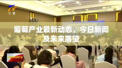 葡萄产业最新动态，今日新闻及未来展望