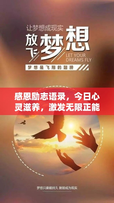 感恩励志语录，今日心灵滋养，激发无限正能量！