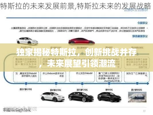 独家揭秘特斯拉，创新挑战并存，未来展望引领潮流