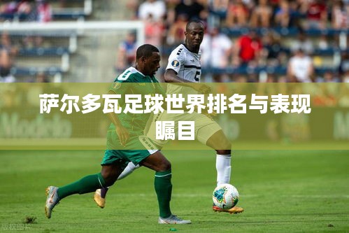 萨尔多瓦足球世界排名与表现瞩目