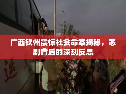 广西钦州震惊社会命案揭秘，悲剧背后的深刻反思