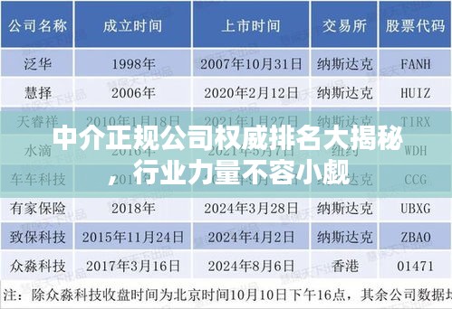中介正规公司权威排名大揭秘，行业力量不容小觑