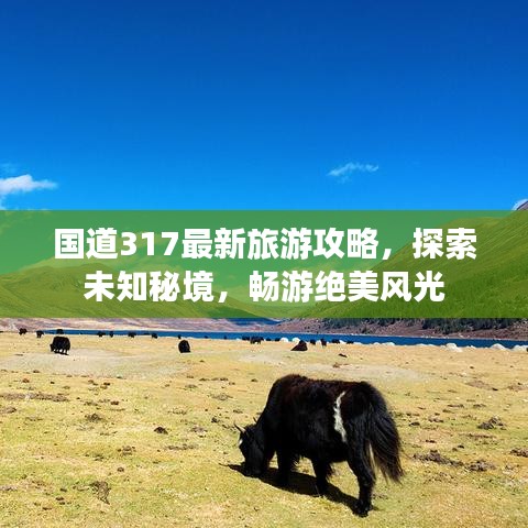 国道317最新旅游攻略，探索未知秘境，畅游绝美风光