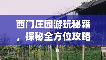 西门庄园游玩秘籍，探秘全方位攻略！