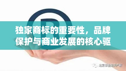 独家商标的重要性，品牌保护与商业发展的核心驱动力