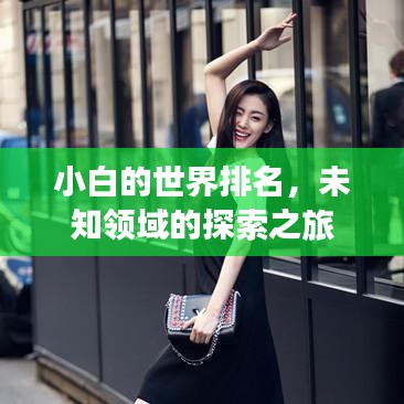 小白的世界排名，未知领域的探索之旅