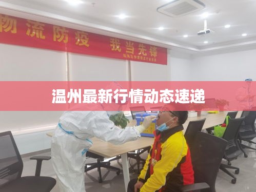温州最新行情动态速递