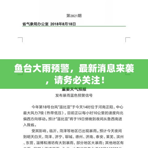 鱼台大雨预警，最新消息来袭，请务必关注！