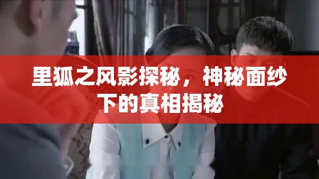里狐之风影探秘，神秘面纱下的真相揭秘