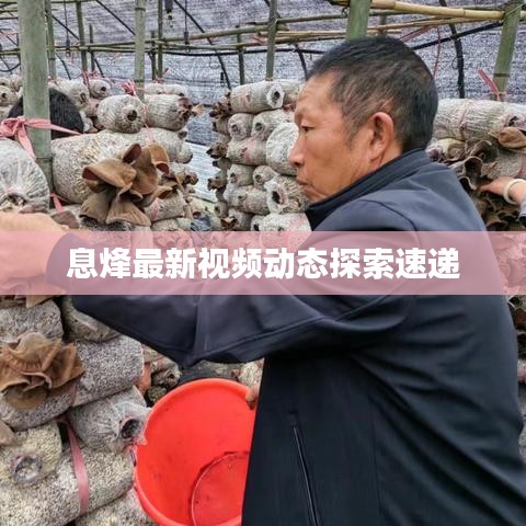 息烽最新视频动态探索速递
