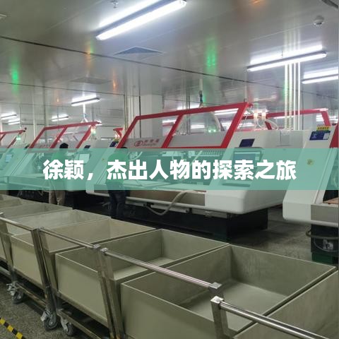 徐颖，杰出人物的探索之旅