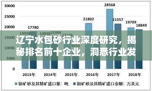 辽宁水包砂行业深度研究，揭秘排名前十企业，洞悉行业发展趋势