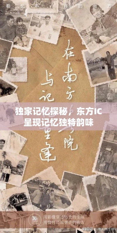 独家记忆探秘，东方IC呈现记忆独特韵味