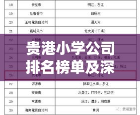 贵港小学公司排名榜单及深度概述