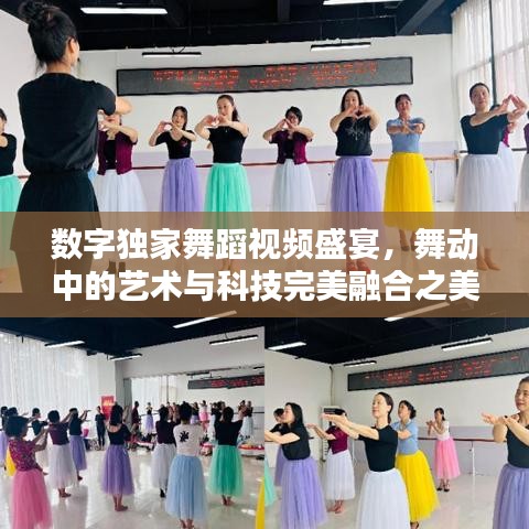 数字独家舞蹈视频盛宴，舞动中的艺术与科技完美融合之美