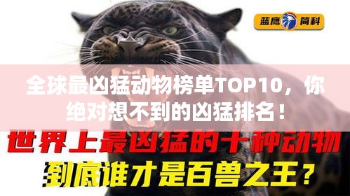 全球最凶猛动物榜单TOP10，你绝对想不到的凶猛排名！