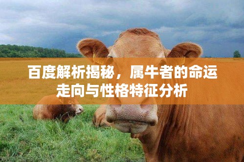 百度解析揭秘，属牛者的命运走向与性格特征分析