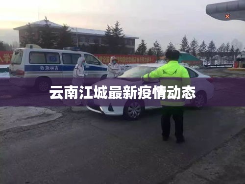 云南江城最新疫情动态