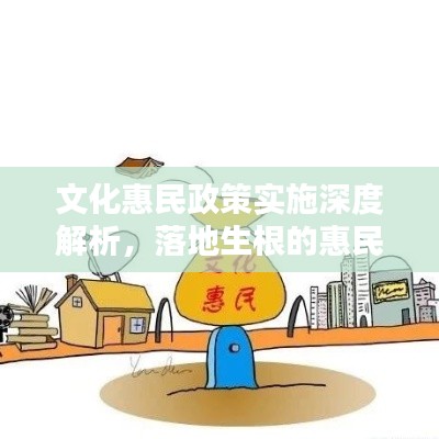 文化惠民政策实施深度解析，落地生根的惠民之路