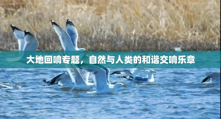 大地回响专题，自然与人类的和谐交响乐章