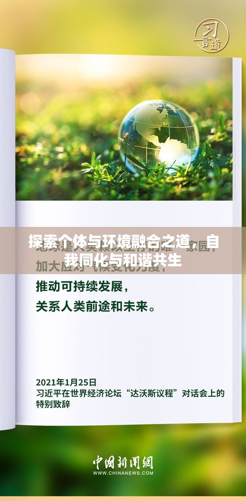 探索个体与环境融合之道，自我同化与和谐共生
