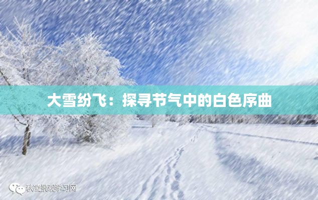 大雪纷飞：探寻节气中的白色序曲