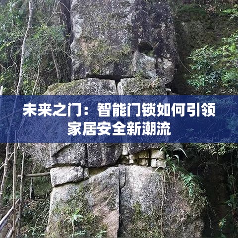 未来之门：智能门锁如何引领家居安全新潮流