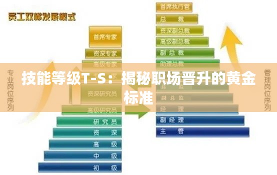 技能等级T-S：揭秘职场晋升的黄金标准