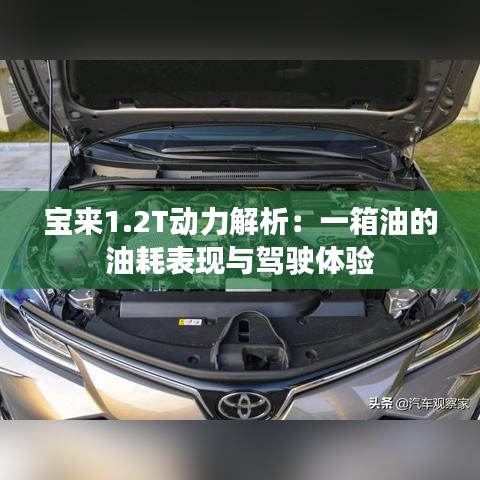 宝来1.2T动力解析：一箱油的油耗表现与驾驶体验