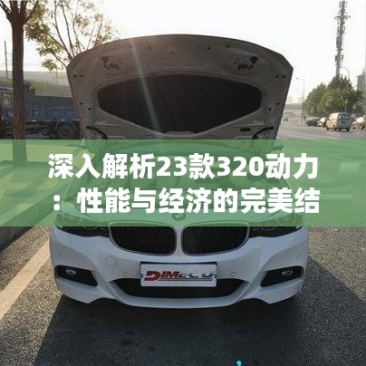 深入解析23款320动力：性能与经济的完美结合