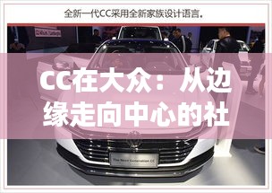 CC在大众：从边缘走向中心的社区文化力量