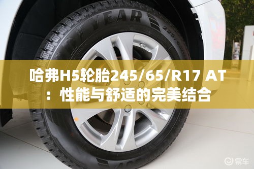 哈弗H5轮胎245/65/R17 AT：性能与舒适的完美结合