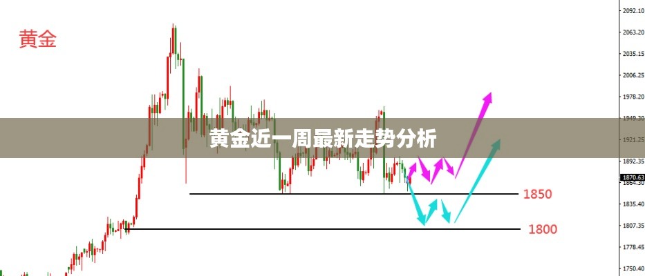 笨鸟先飞 第3页