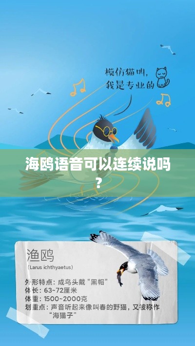 海鸥语音可以连续说吗？