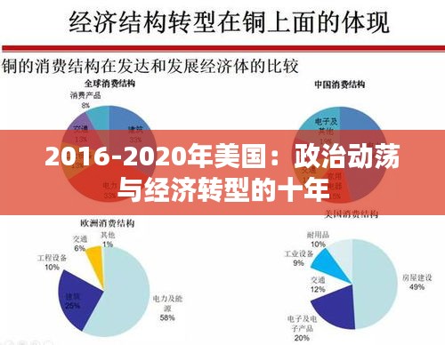 2016-2020年美国：政治动荡与经济转型的十年