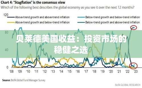 贝莱德美国收益：投资市场的稳健之选