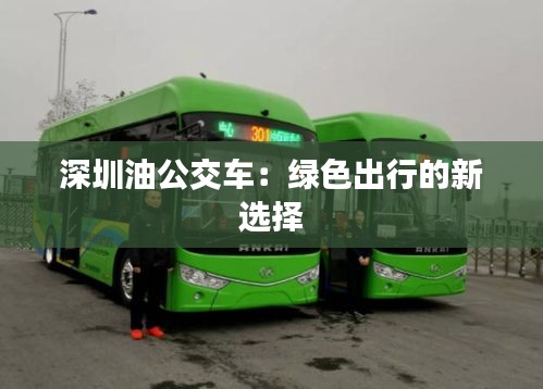 深圳油公交车：绿色出行的新选择